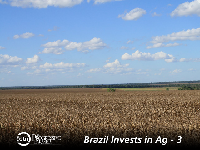 High interest rates and limited access to capital have meant substantial land purchases are now the preserve of a few producers in Brazil. Instead, much like in the U.S., most Brazilian farmers are looking to maximize productivity of the land they have. (DTN photo by Alastair Stewart)